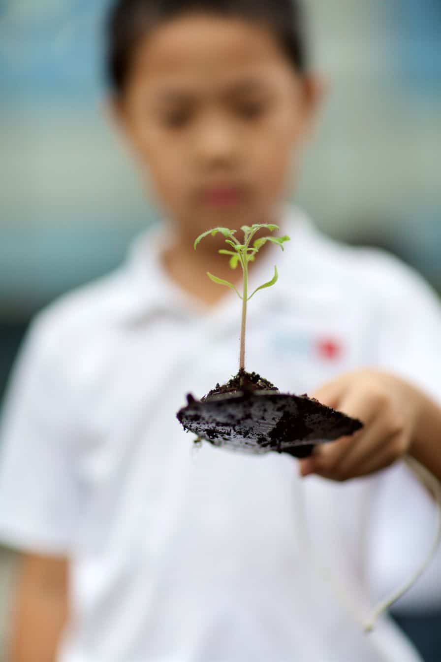 Hong Kong Academy, visual arts 