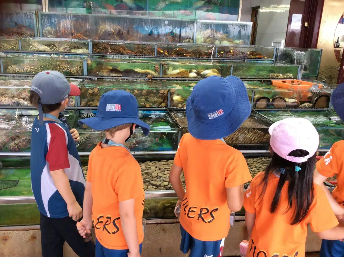 Students are watching seafood booth